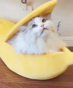 Funny Banana Dog/Cat Bed House